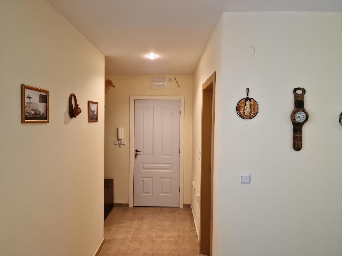 Sloneczny Brzeg Green Fort Noks Studio Экстерьер фото